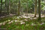 77 Carriage Knoll Road - Photo 9