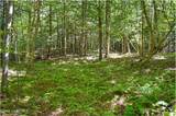 71 Carriage Knoll Road - Photo 7