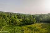 1174 Potter Mountain Road - Photo 66