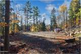 261 Valentine Pond Road - Photo 11