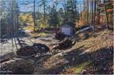 261 Valentine Pond Road - Photo 12