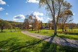 380 Raymond Fish Road - Photo 12