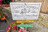 3986 Main Street - Photo 4