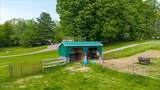 1145 Goode Road - Photo 19