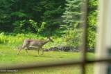 475 Greene Road - Photo 52