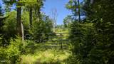 10279 Adirondack Trail - Photo 3