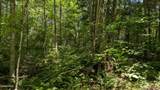 10279 Adirondack Trail - Photo 4