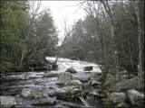 10279 Adirondack Trail - Photo 5