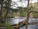 10279 Adirondack Trail - Photo 6