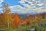 L9.000 Palisade Parkway - Photo 8