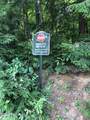 L20 White Birch Drive - Photo 15