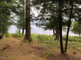 849 Adirondack Road - Photo 49