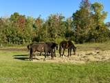 171 Flat Creek Road - Photo 26