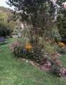 51 Williams Street - Photo 20