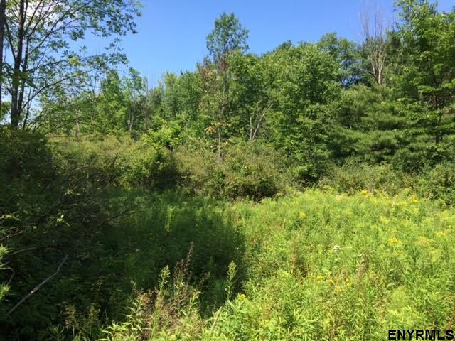 Lot 5 Turnbull Rd - Photo 1