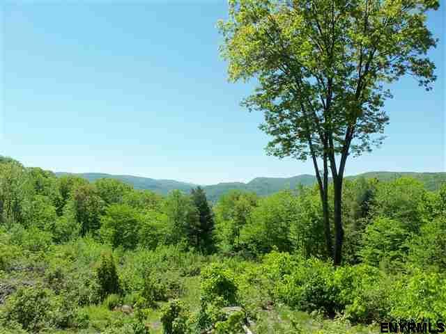 00 Goodell Rd - Photo 1