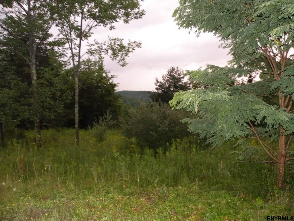 Mountain View Rd - Photo 1
