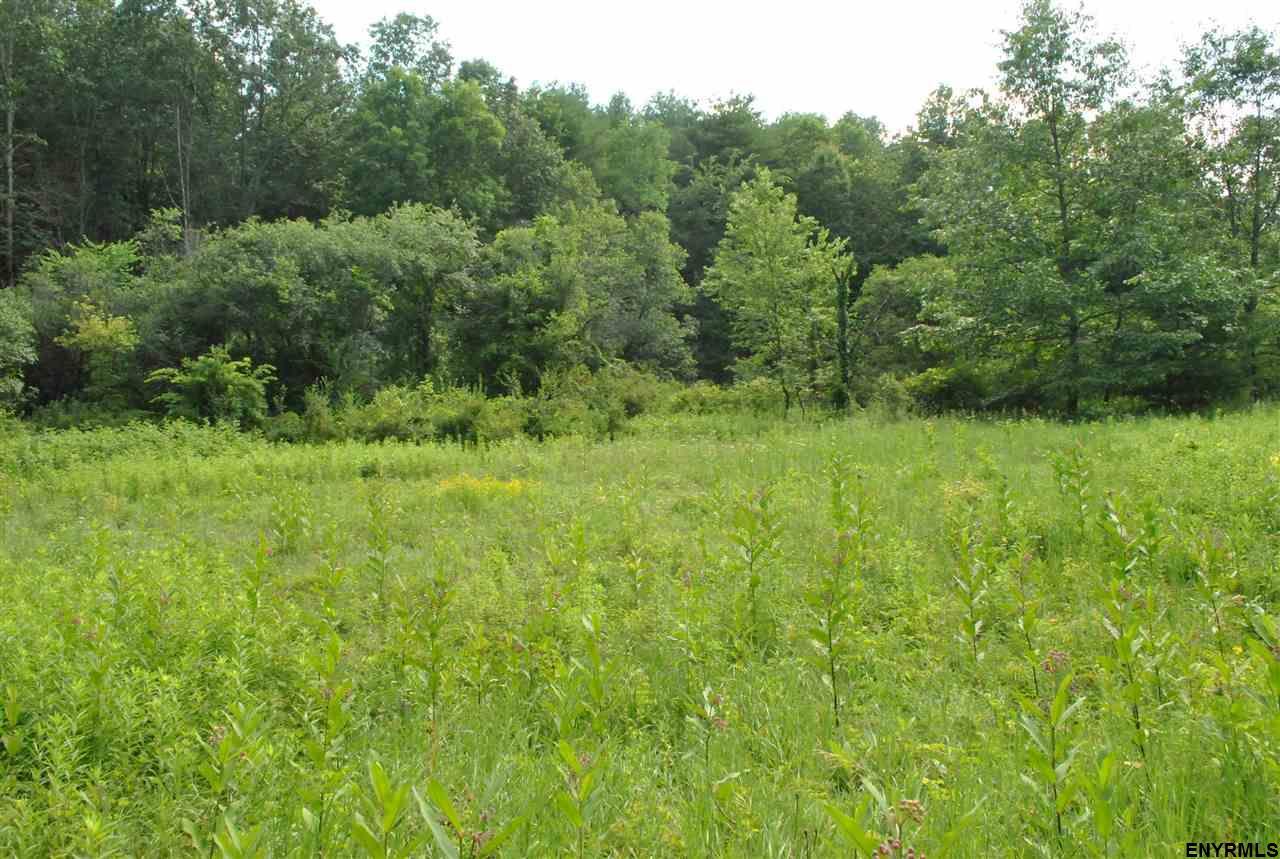 0 Rock City Rd - Photo 1