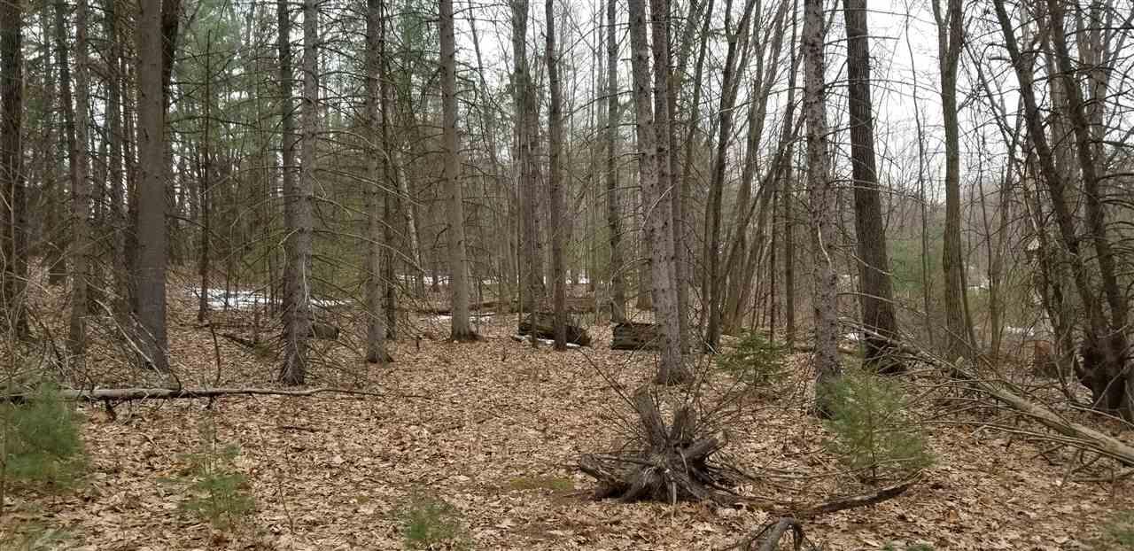 1107 Saratoga Rd - Photo 1