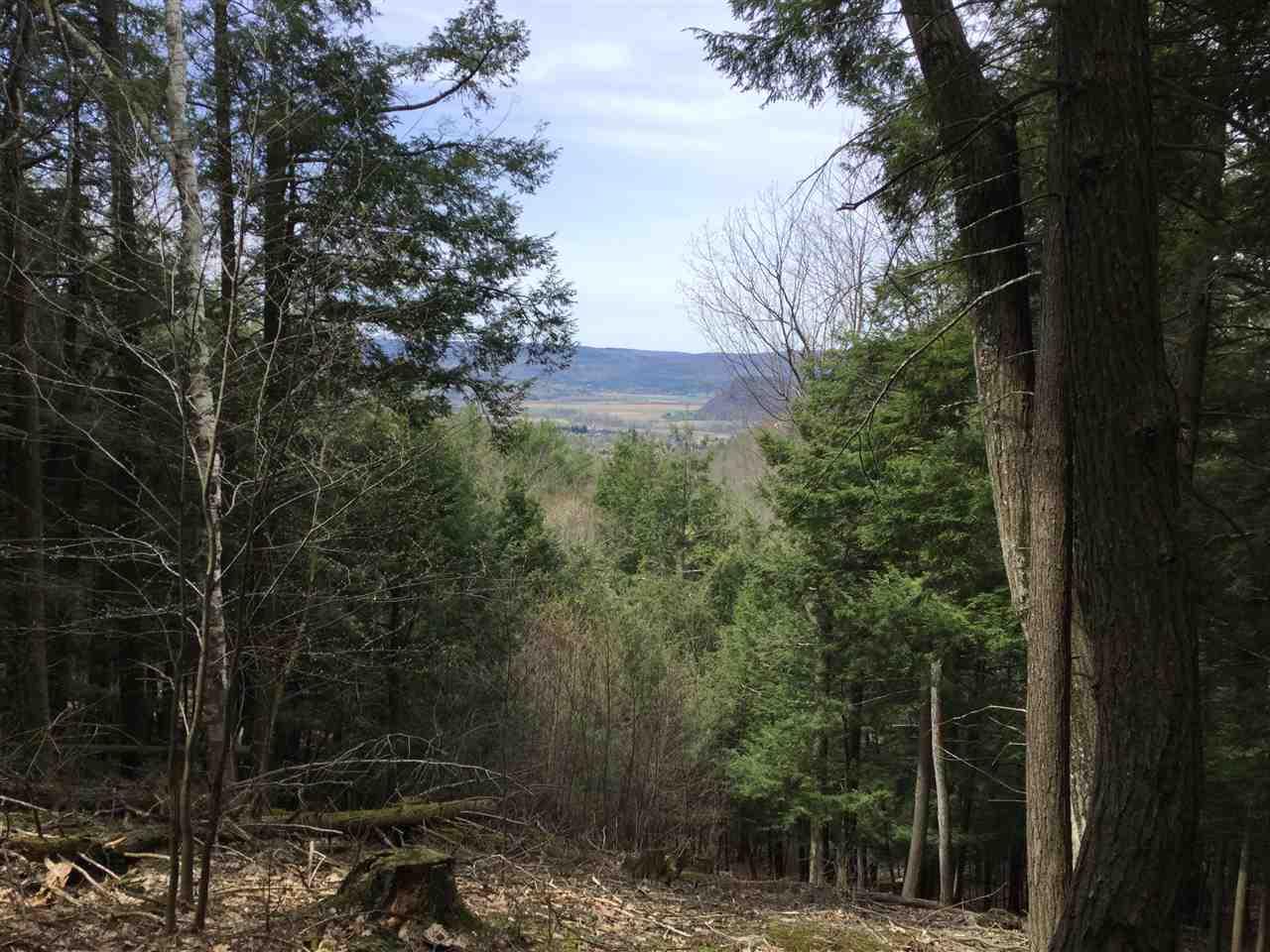0 Cotton Hill Rd - Photo 1