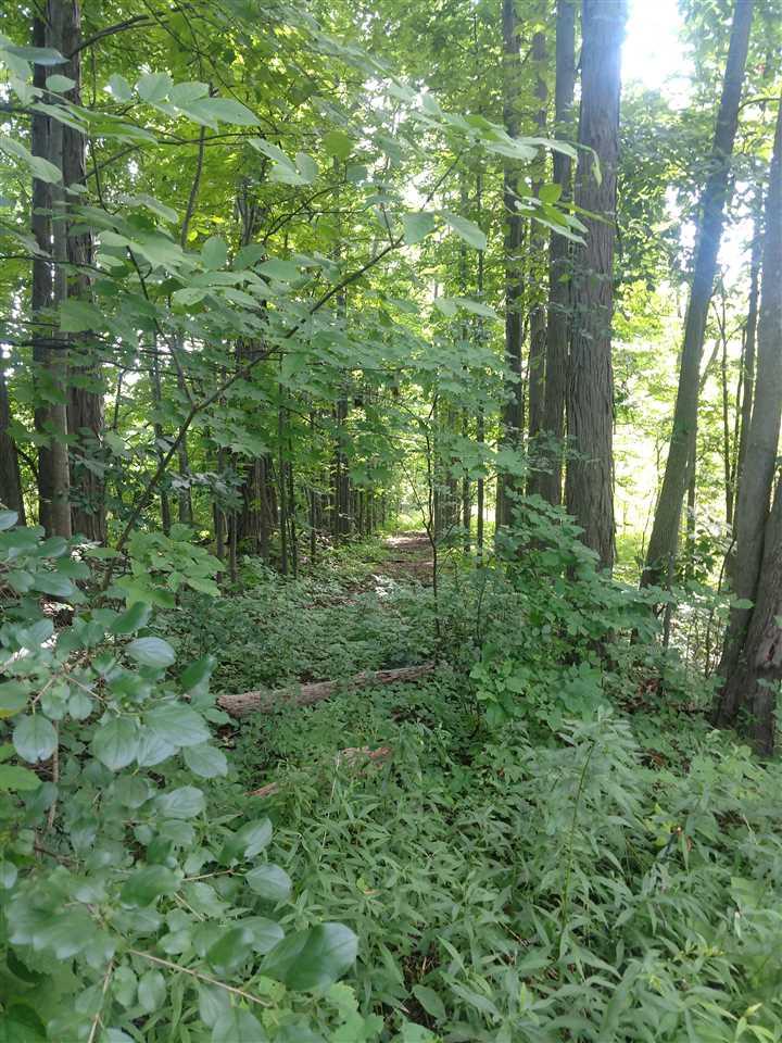 1021 Westfall Rd - Photo 1