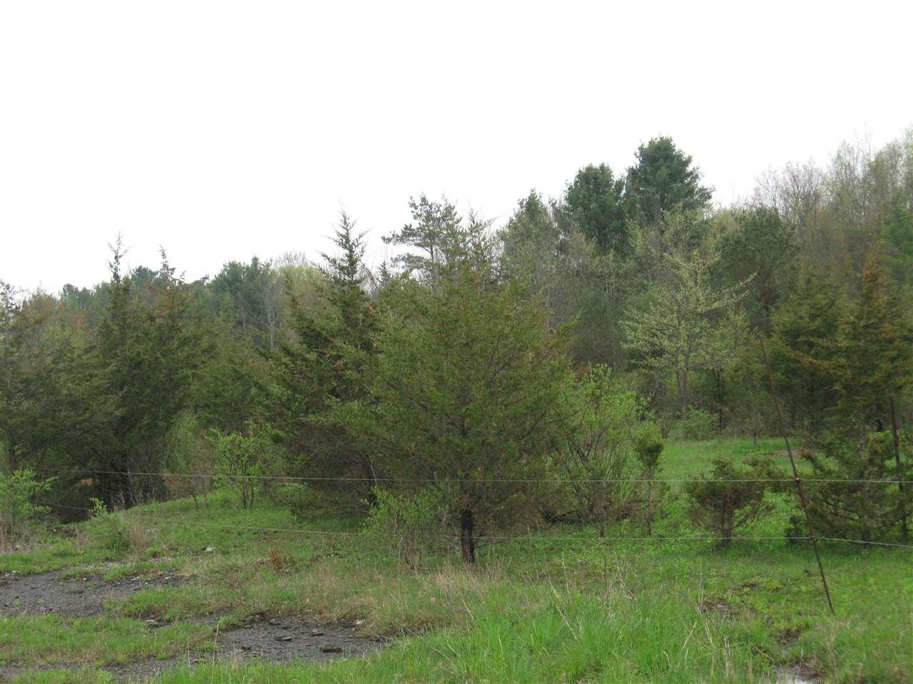 0 County Rt 411 - Photo 1