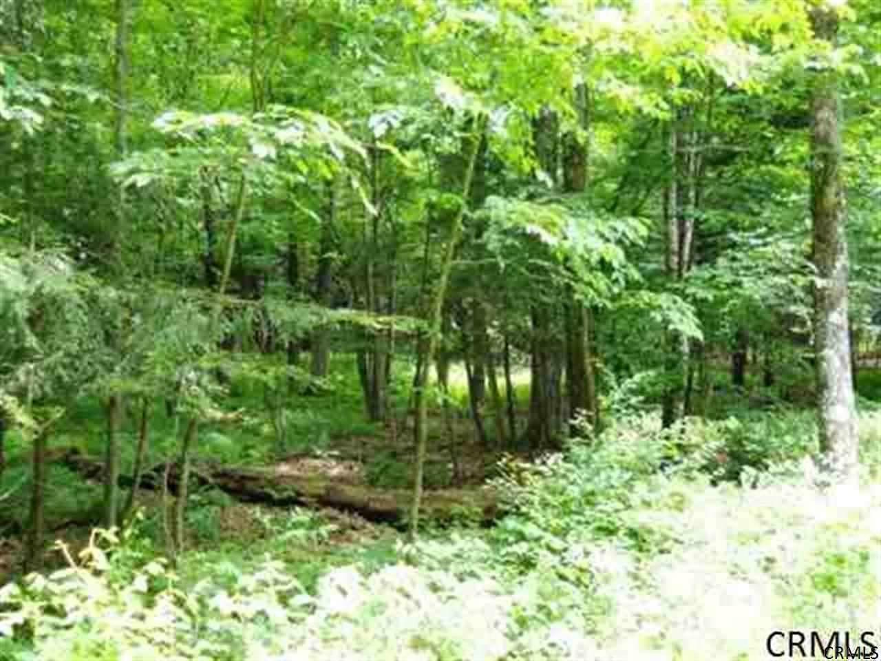 0 Wood Rd - Photo 1