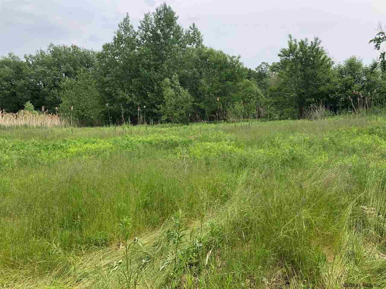 923 Sacandaga Rd - Photo 1