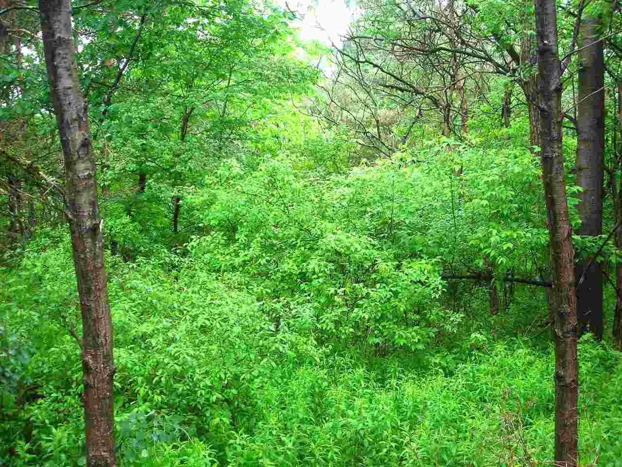 0 St Croix Dr - Photo 1