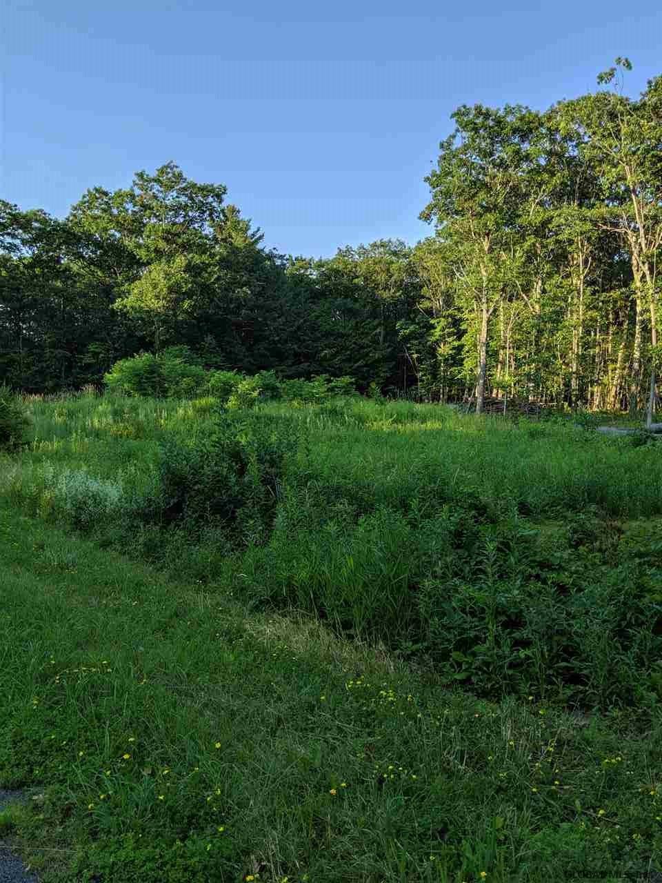0 County Route 412 - Photo 1