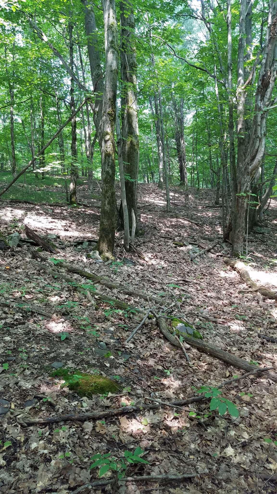 0 Sickle Hill Rd - Photo 1