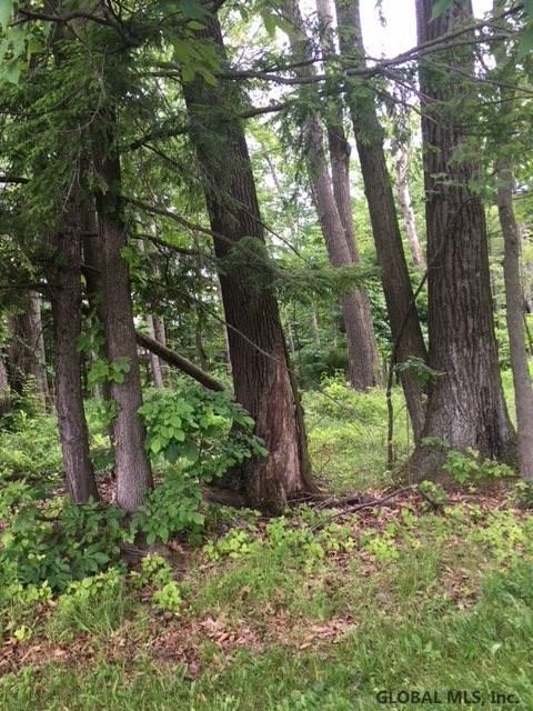 Lot 3 Toby Ln - Photo 1