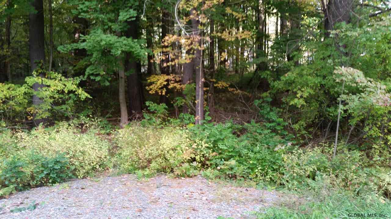 0 Mann Rd - Photo 1