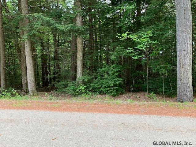 00 Loon Lake Heights Rd - Photo 1