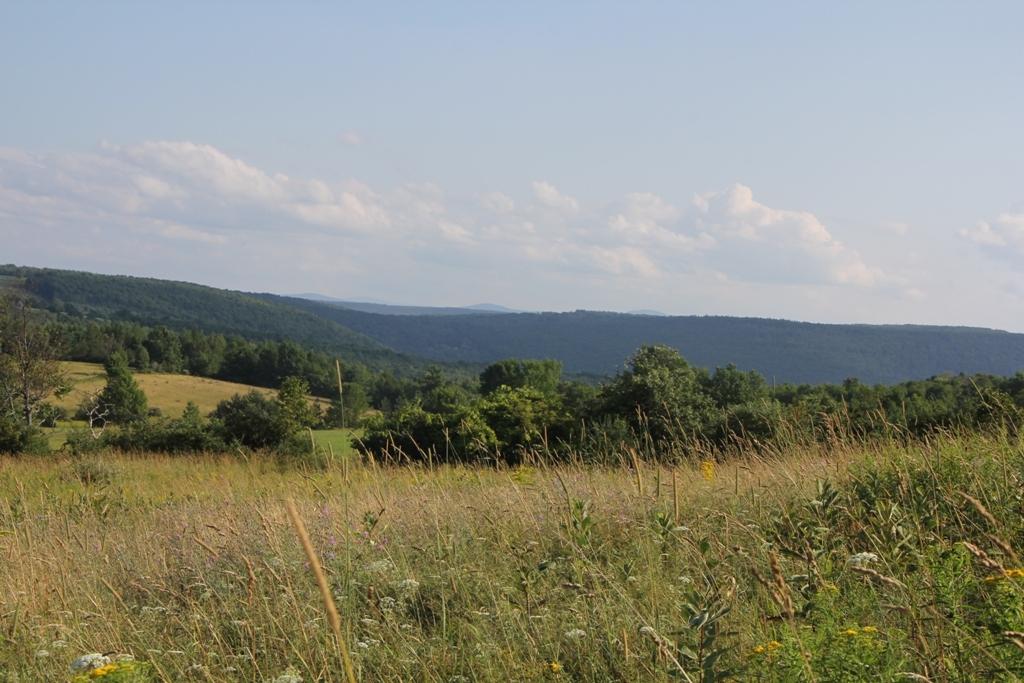 Lot 3 Lawton Hollow Rd - Photo 1