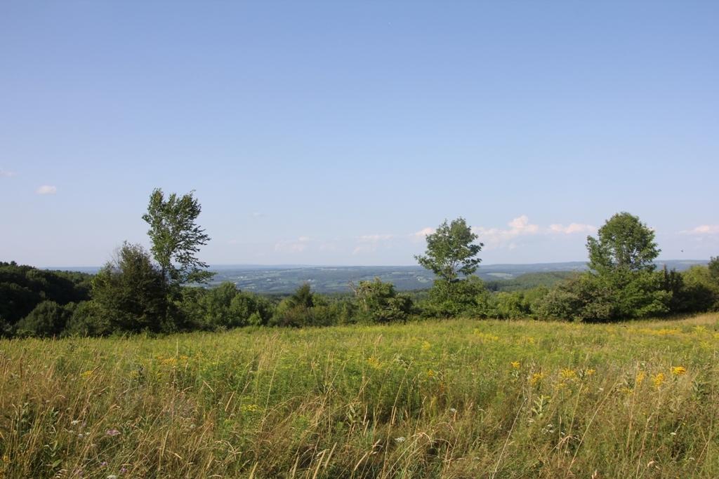 Lot 4 Lawton Hollow Rd - Photo 1