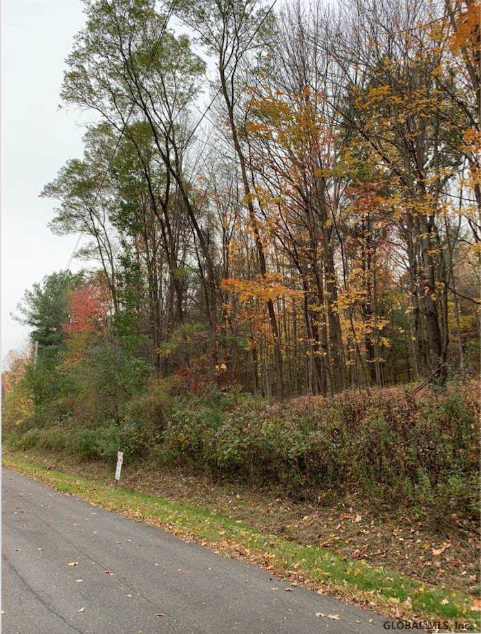 Upper Cady Rd - Photo 1