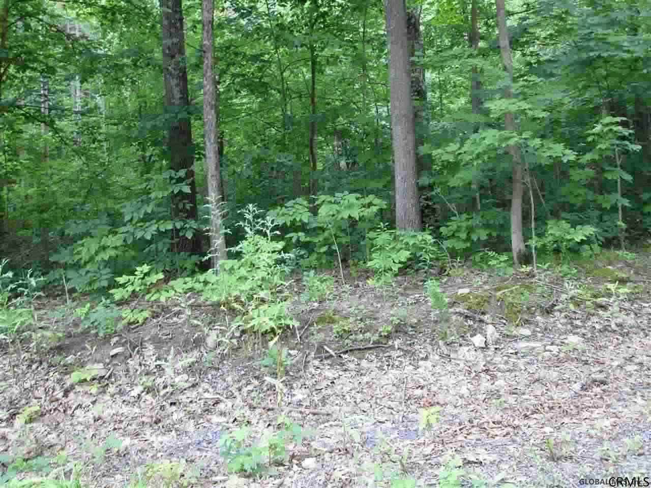 Lot 2 Dominski La - Photo 1