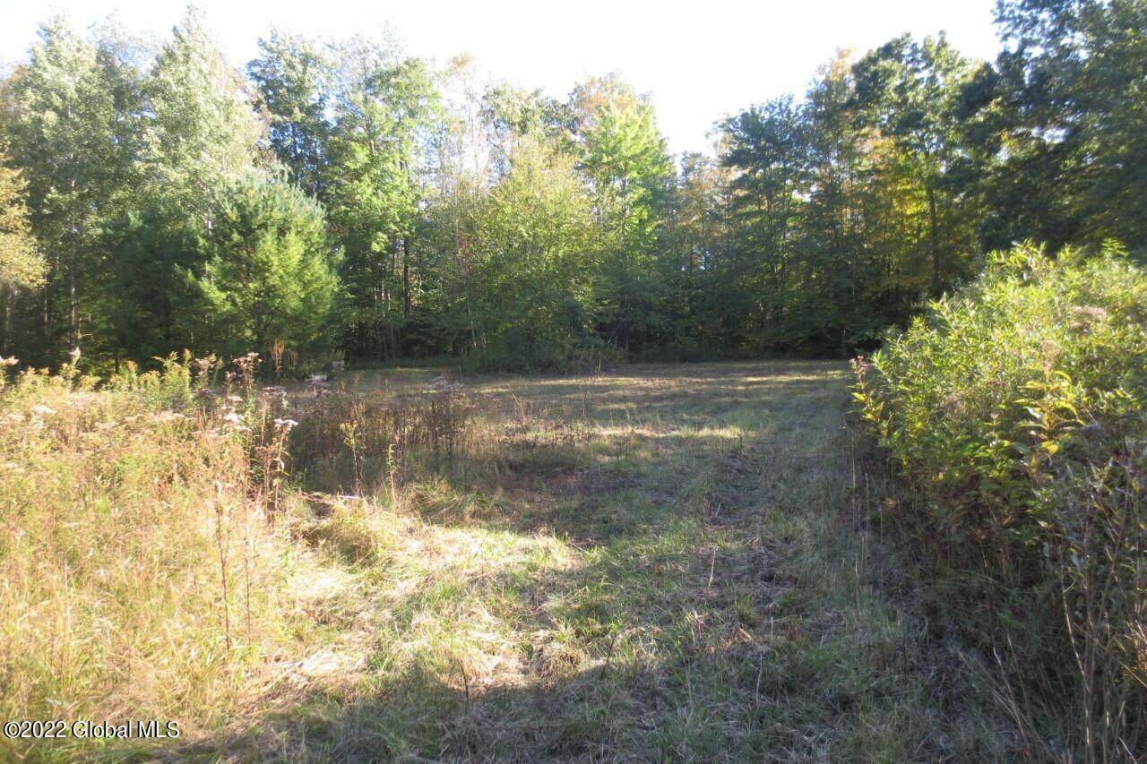 Lot 1A-1.2 Maple Avenue - Photo 1
