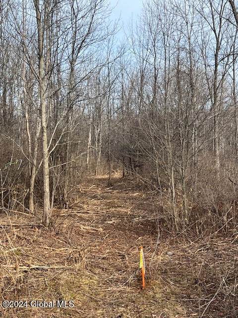 453 Gage Road - Photo 1