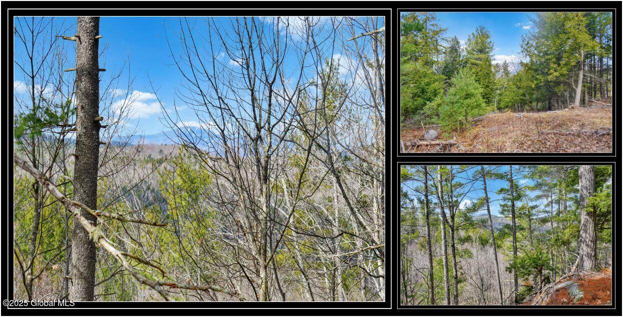 L18 Mountain Meadows Road - Photo 1