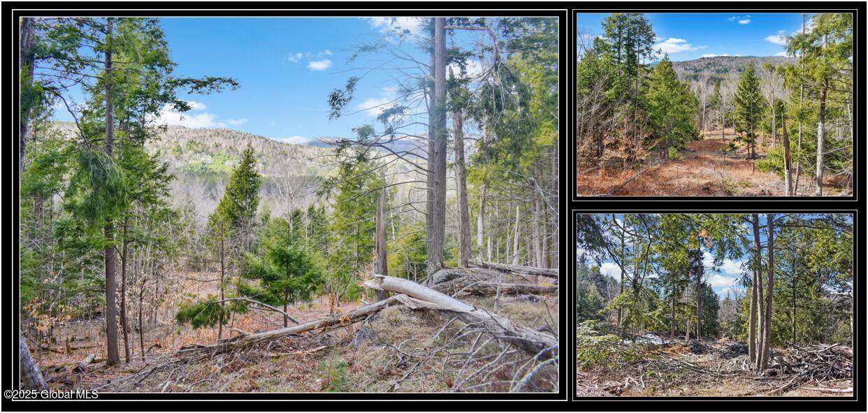 L17 Mountain Meadows Road - Photo 1