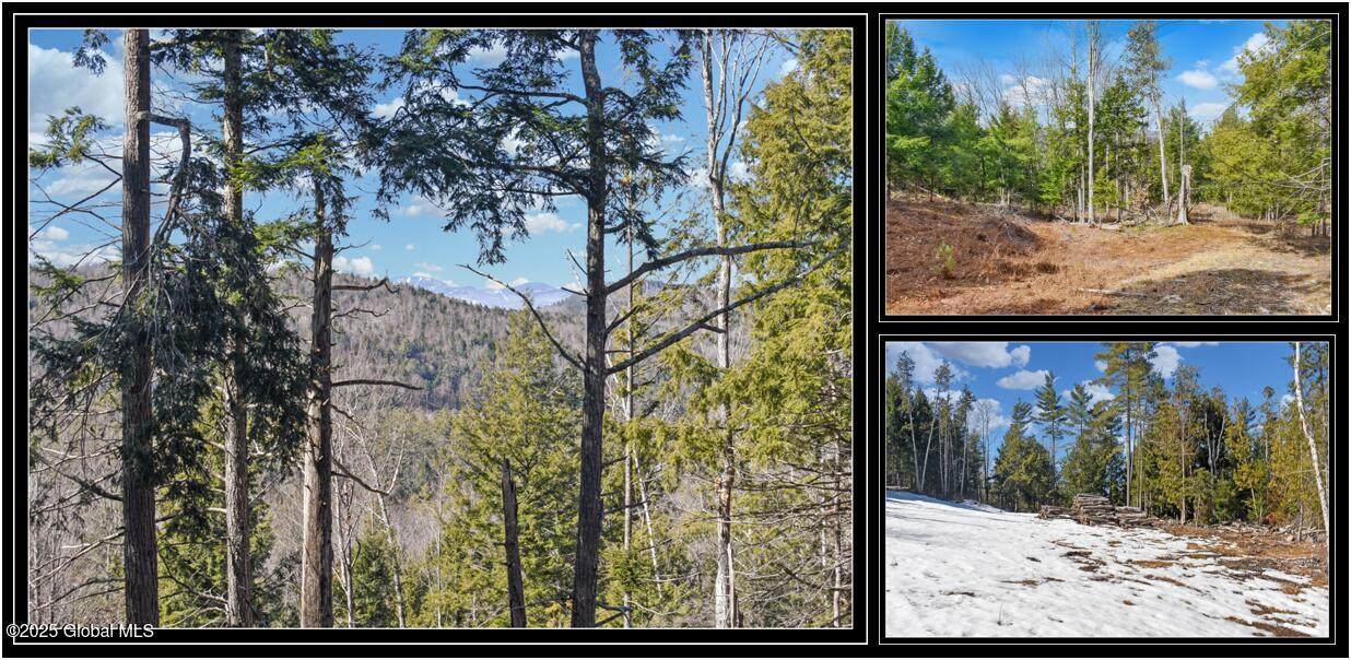 L16 Mountain Meadows Road - Photo 1