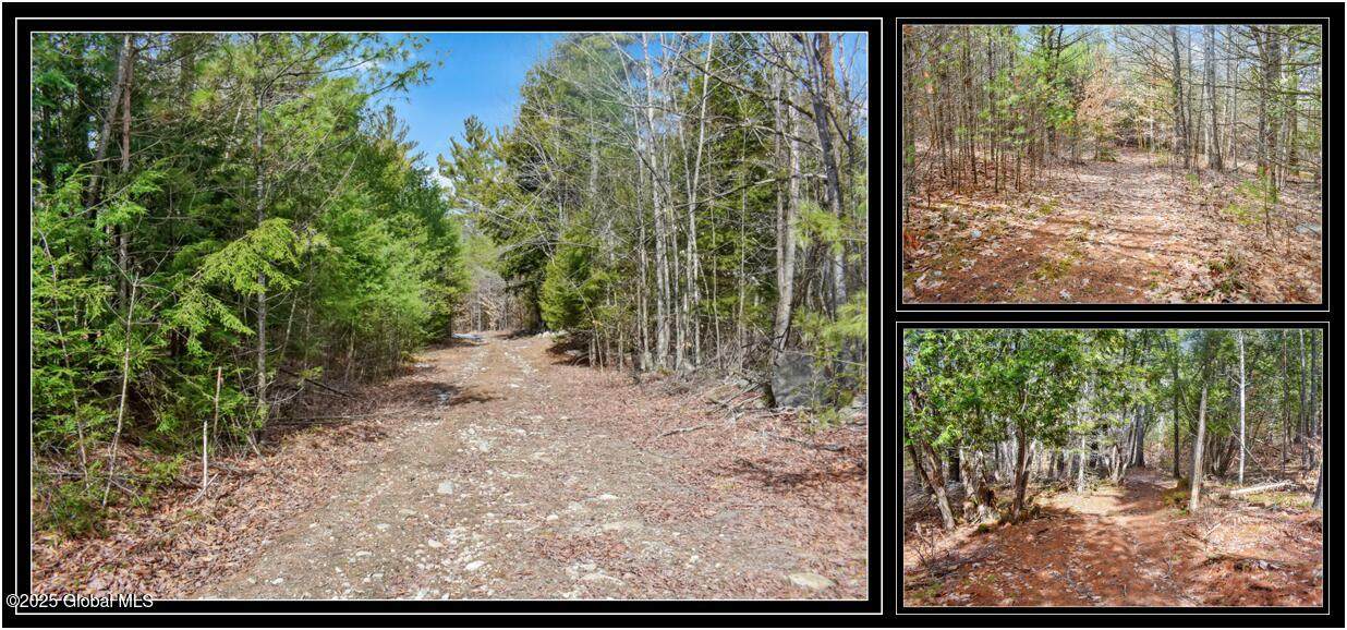 L11 Mountain Meadows Road - Photo 1
