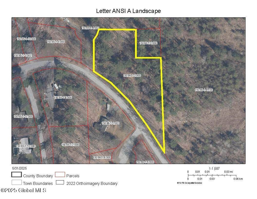 L3 Pine Springs Drive - Photo 1
