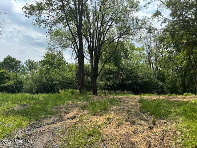 1741 Scotch Ridge Road - Photo 1