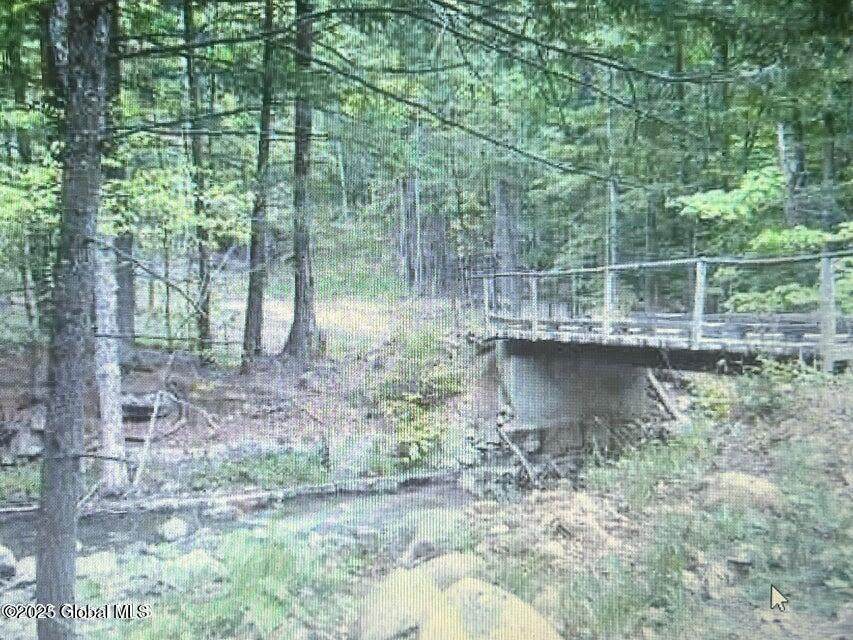 L1.2 Trout Brook Road - Photo 1