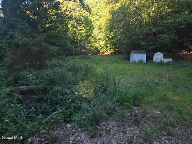 92 Snyders Corners Road - Photo 1