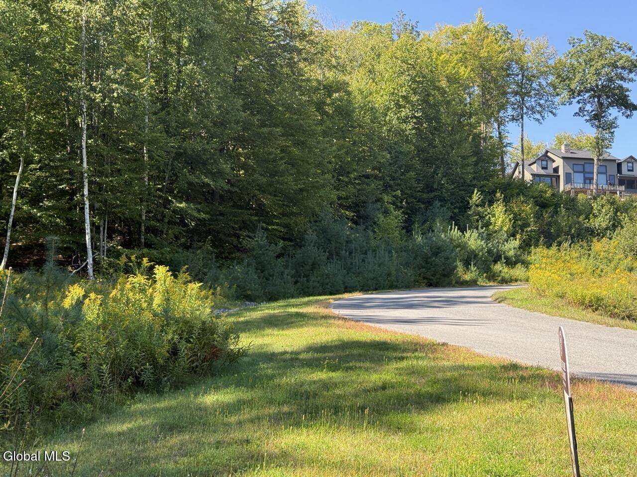 101 Watershed Drive - Photo 1