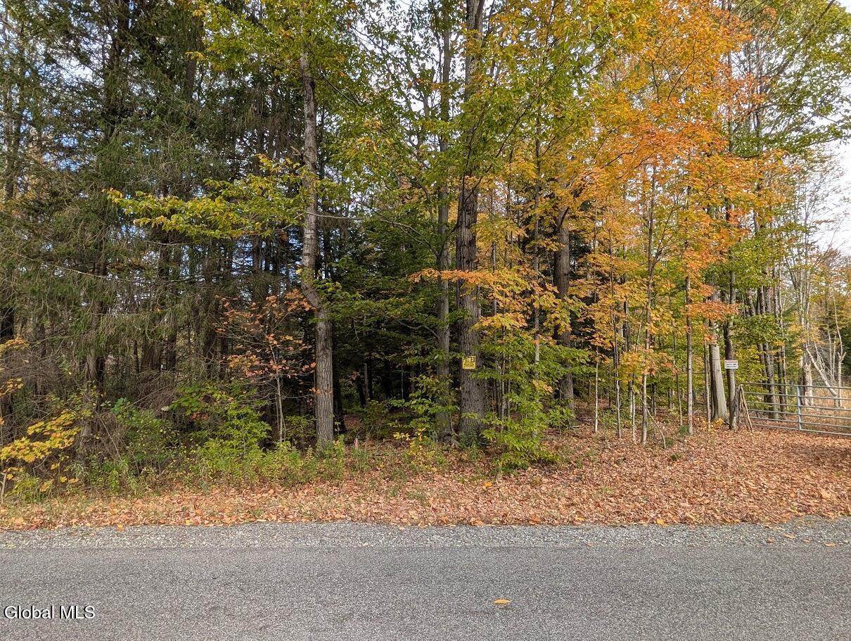 L23.2 Potter Hollow Road - Photo 1